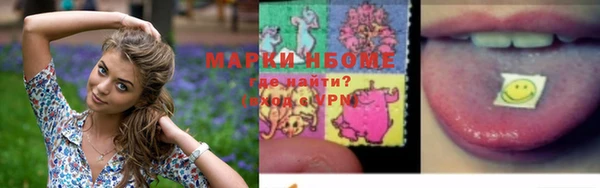 прущая мука Арсеньев
