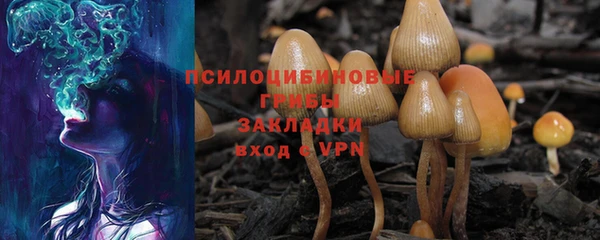 марки lsd Балабаново